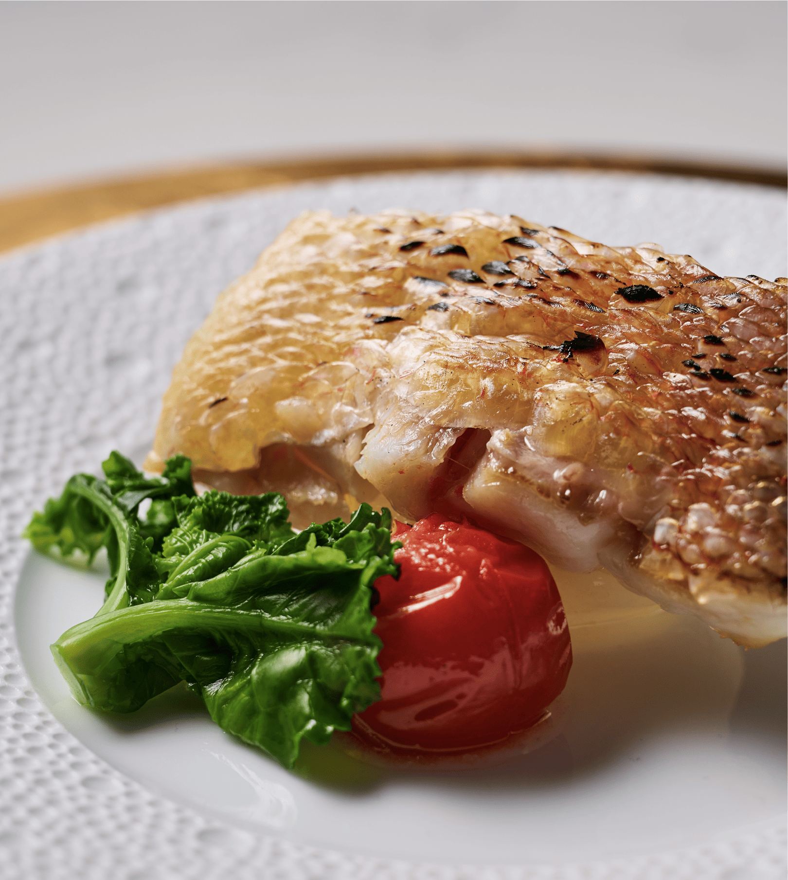 PRIVATE DINING 一晩一客、銘酒と料理が響き合う「旅の晩餐」